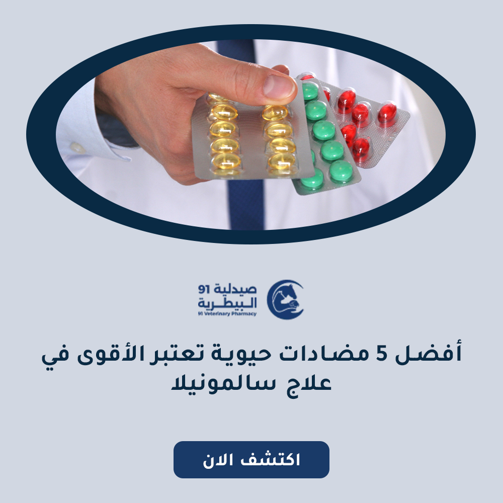 أفضل 5 مضادات حيوية تعتبر الأقوى في علاج سالمونيلا