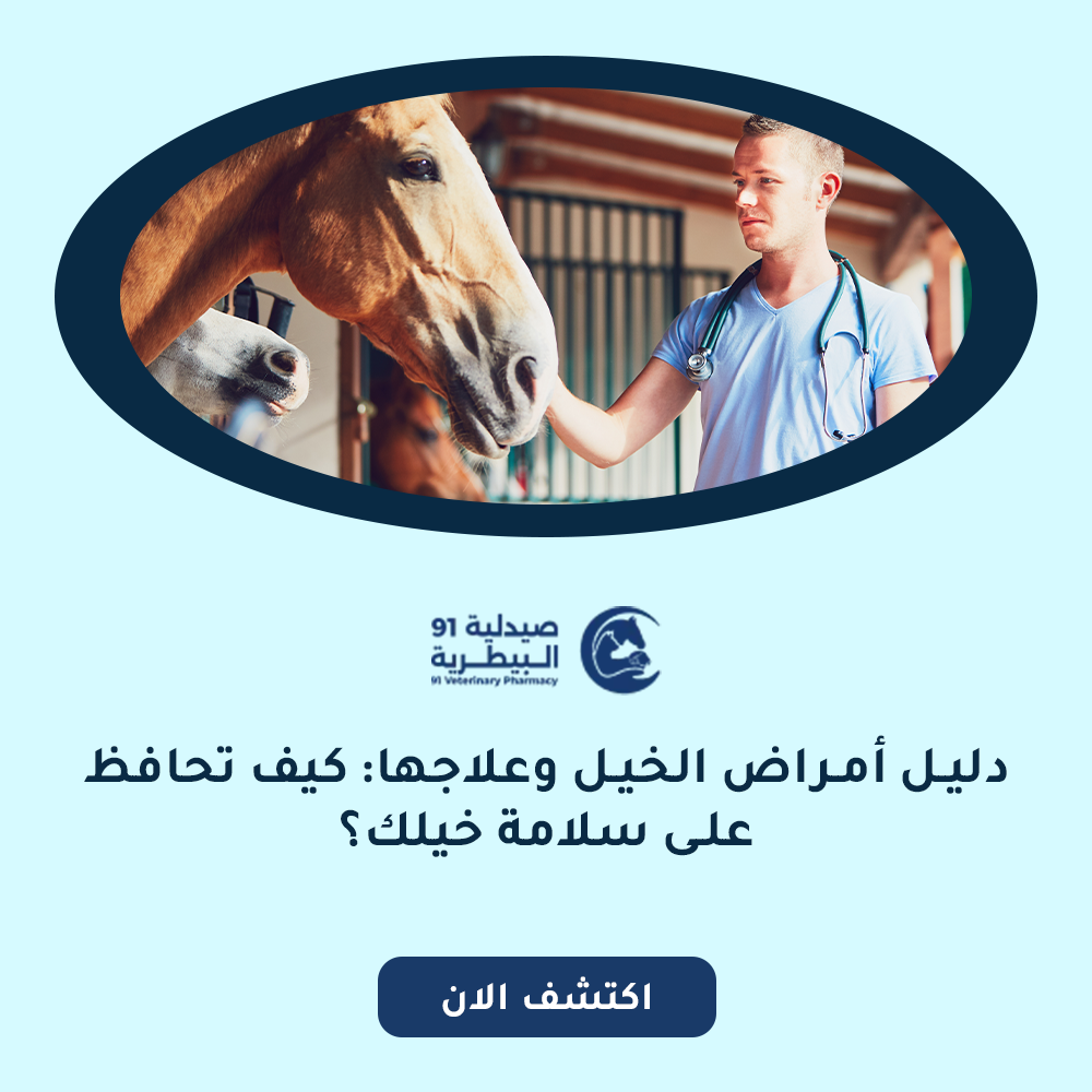امراض الخيل وعلاجها