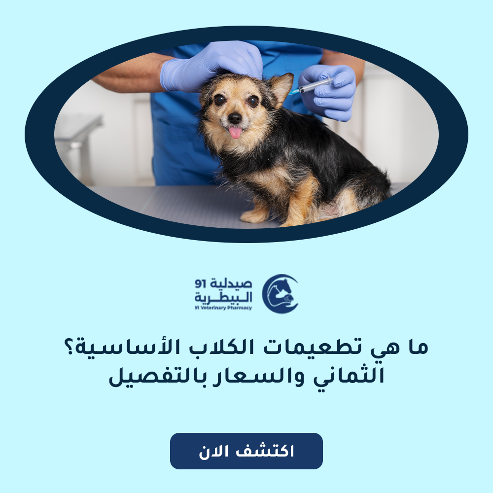 ما هي تطعيمات الكلاب الأساسية؟ الخماسي والسعار بالتفصيل