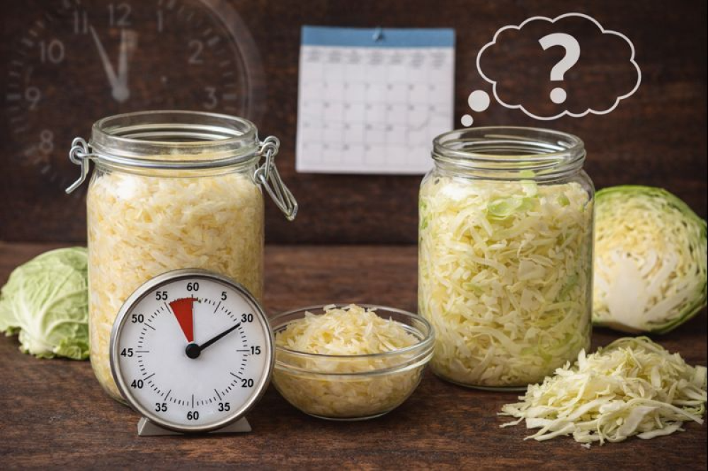 كم مدة تخمير الملفوف
