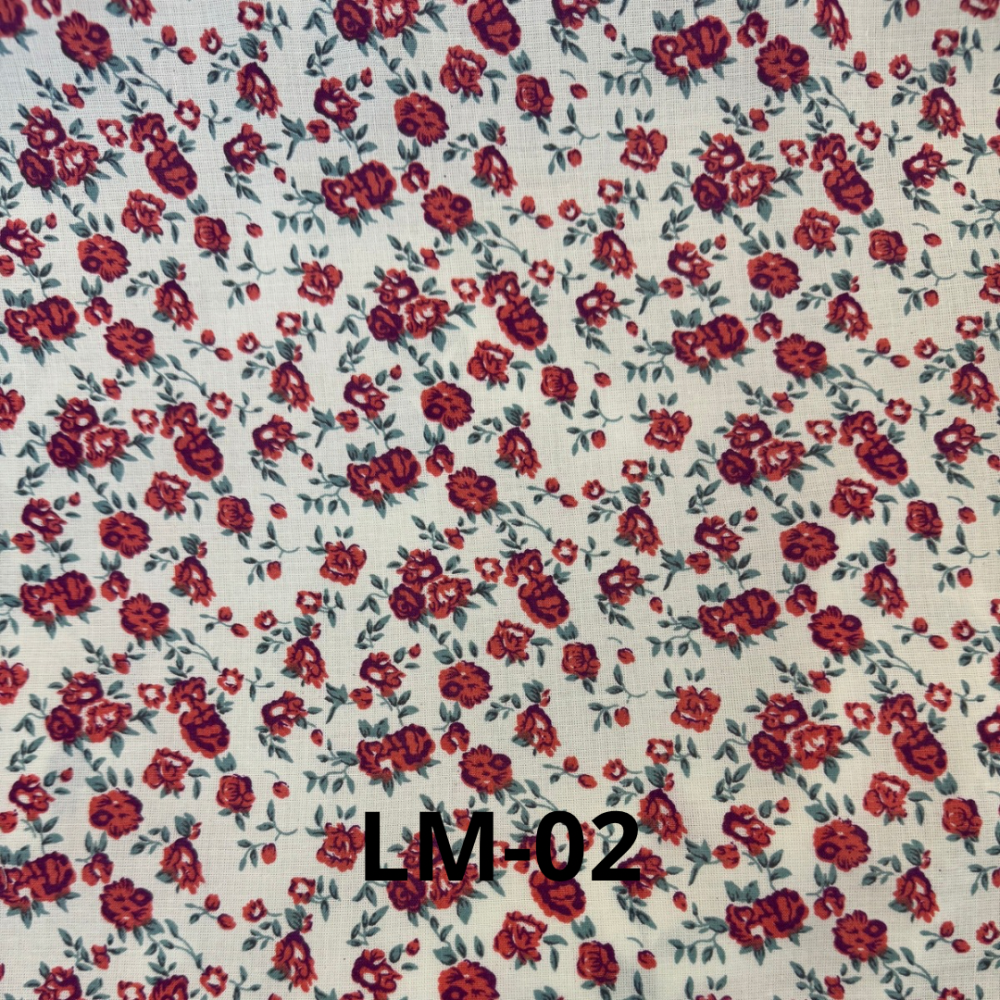 LM-02