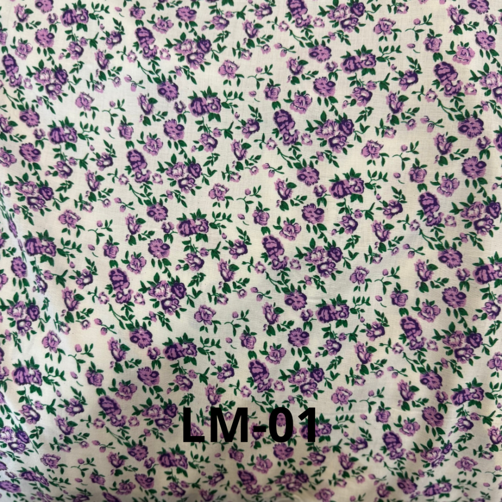 LM-01