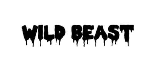 WILD BEAST - ويلد بيست
