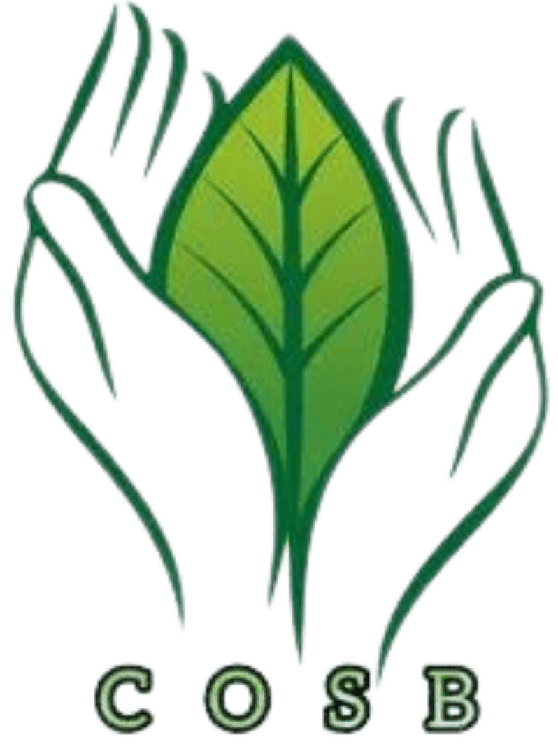 store avatar
