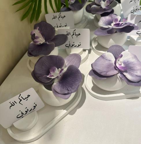 استقبال