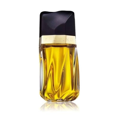 عطر نوينج استي لودر ٧٥مل