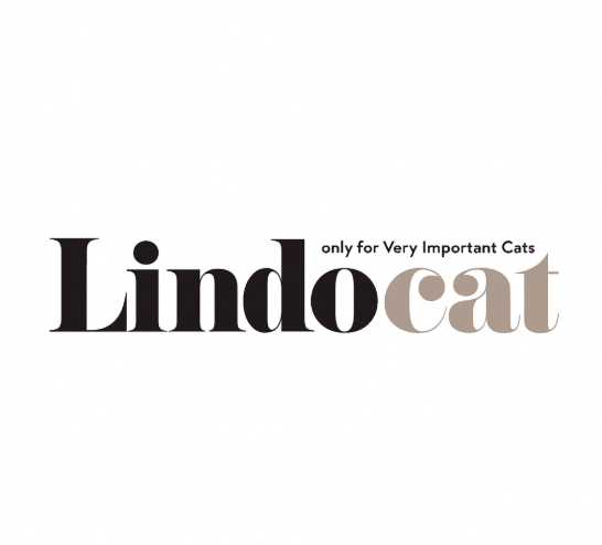LindoCat