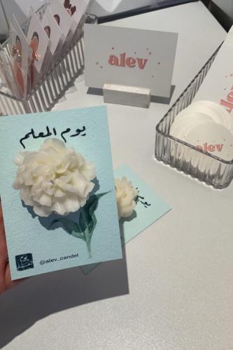 توزيعات الزهر