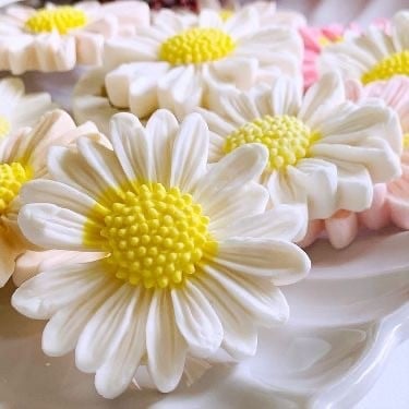 شمعة زهرة الاقحوان
