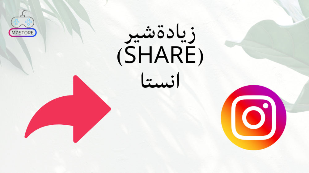 زيادة شير انستا