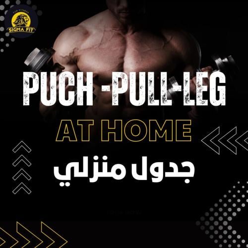 جدول PPL-HOME WORKOUT منزلي ٤-٥ أيام