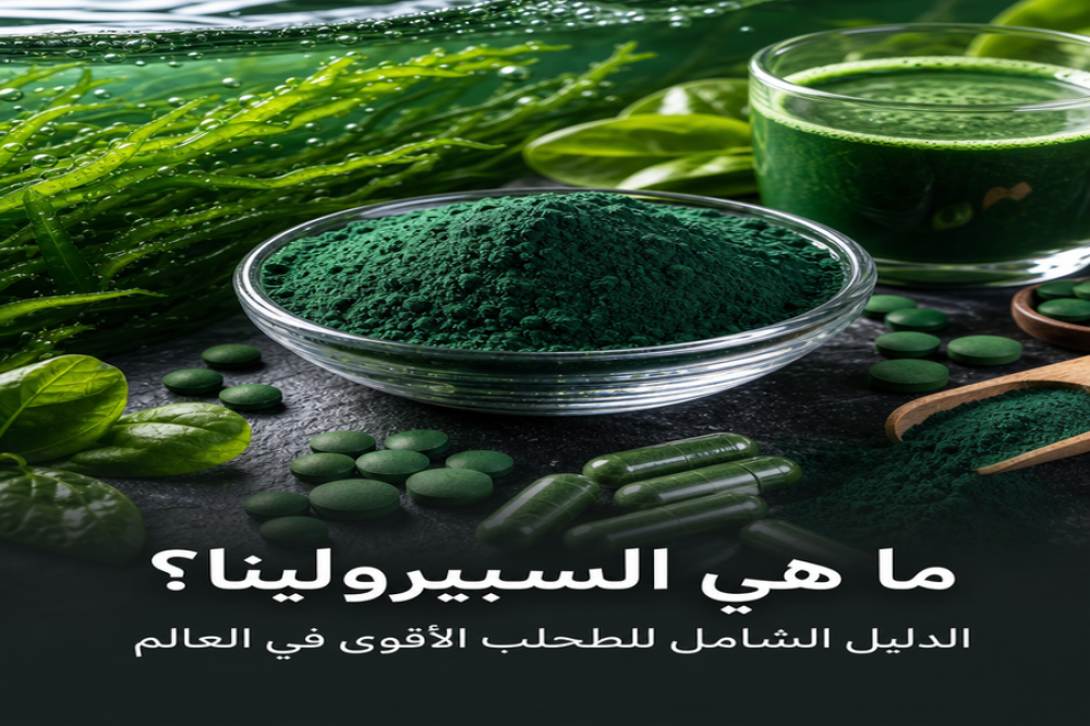 ما هي السبيرولينا؟ الدليل الشامل للطحلب الأقوى في العالم