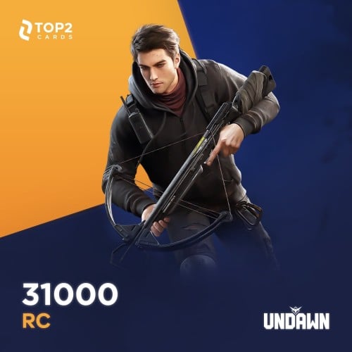 شحن انداون 31000 RC