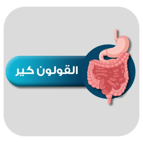القولون كير