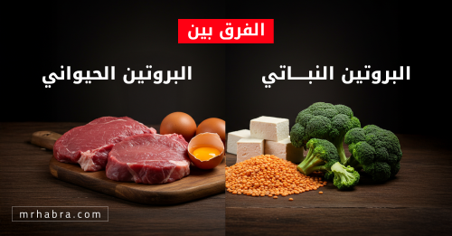 الطبيعة وأسرار البروتين