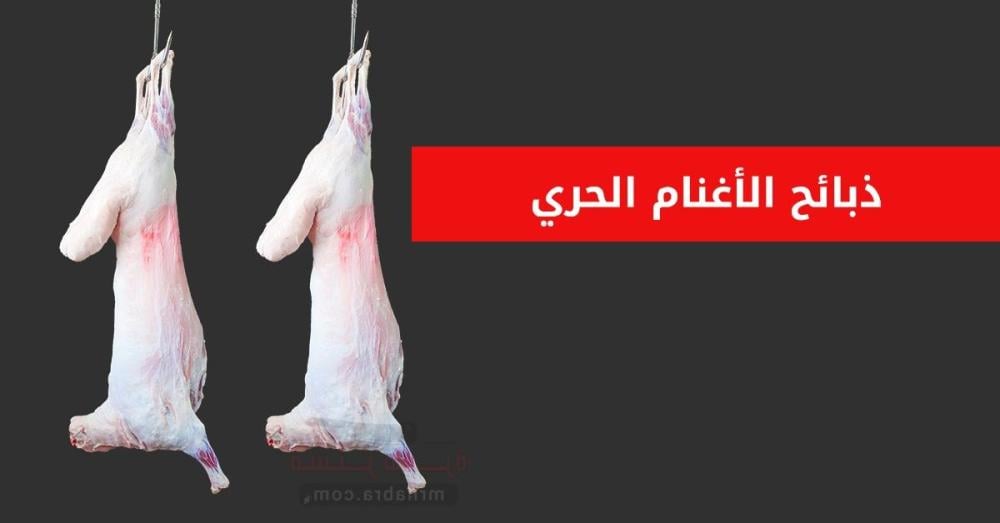 غنم الحري