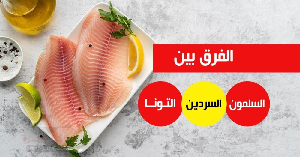 الفروق بين السلمون والسردين والتونا