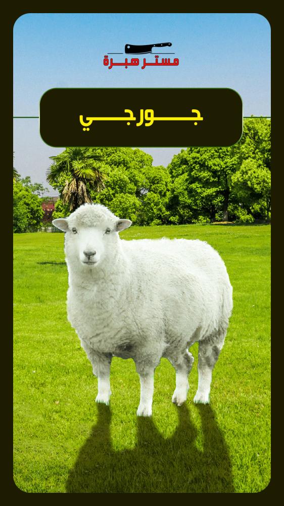 خروف جورجي