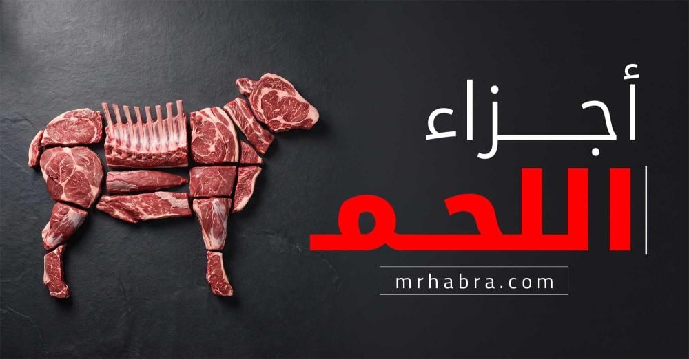 دليلك الشامل لأجزاء وقطع اللحم