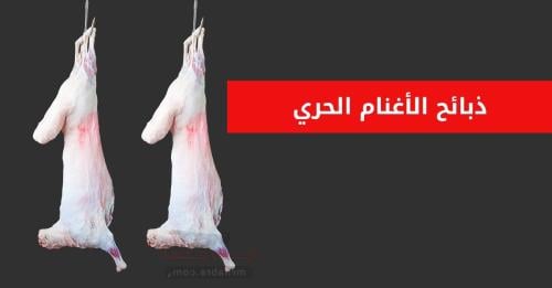 غنم الحري