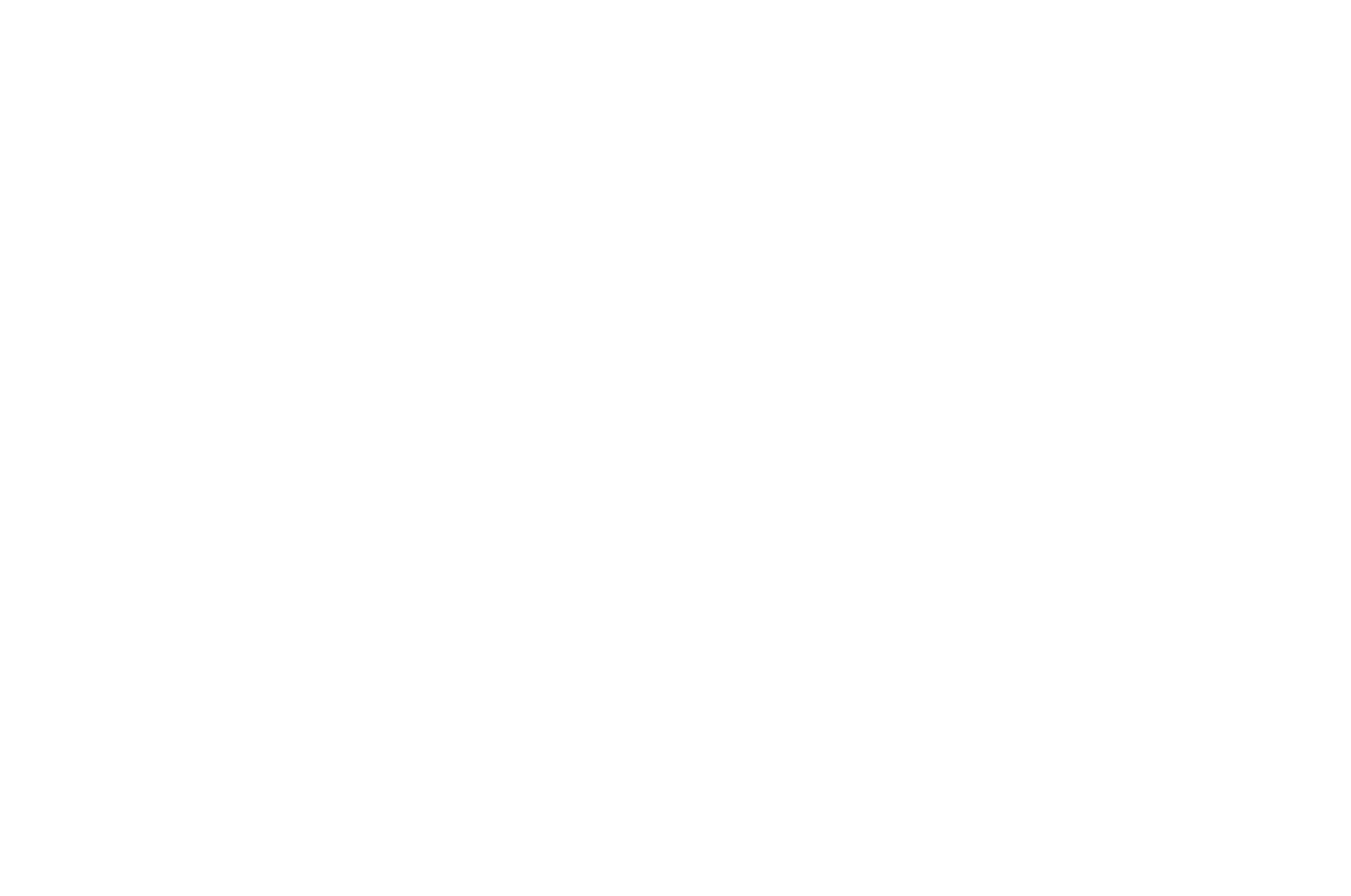 LESIEURA LUXURY FASHION