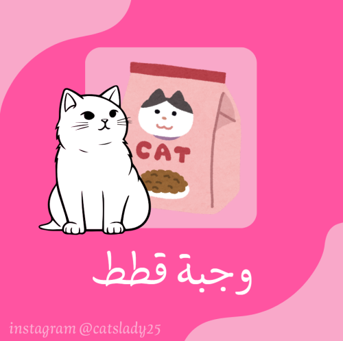 وجبة قطط مطبوخه وصحيه