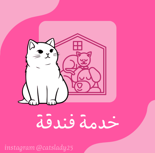 خدمة فندقه عاديه -اليوم الواحد