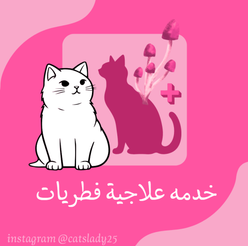 خدمة فندقه علاجيه فطريات
