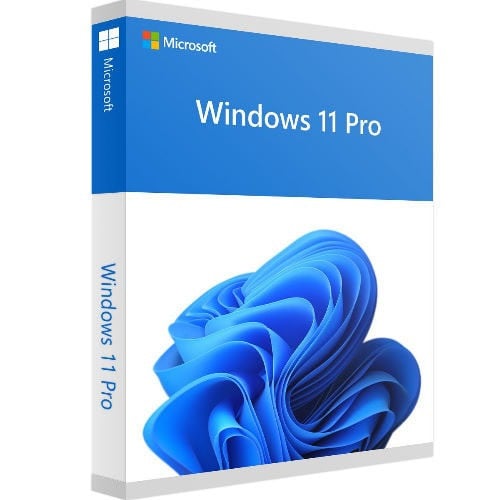 Windows 11 pro