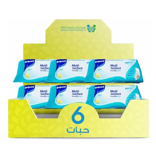 Silbed Lemon Sterilized Wet Wipes 100 Wipes * 6 Packs | Value Box