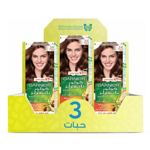 Garnier Hair Dye 5.3 Light Golden Brown *3 Pack | Value Box