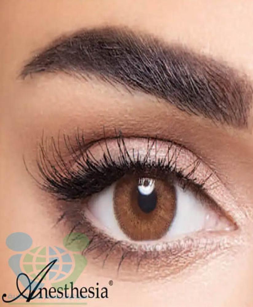 انستازيا عدسات يومية براونش - بني