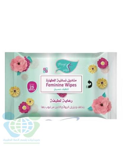 ALARAYS INTIMATE WIPES NICE CARE 25PCS