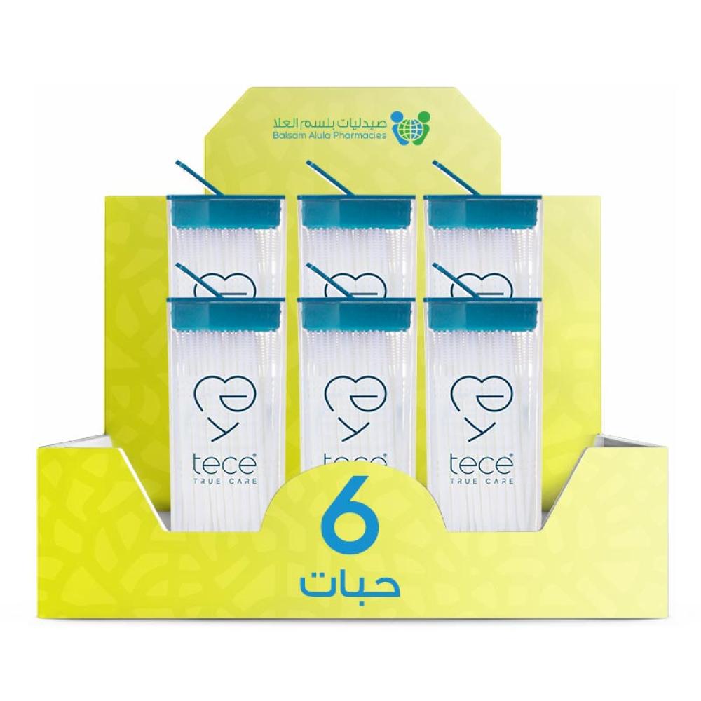 TC Toothpicks with Brush, 100 pieces * 6 pieces | Value Box