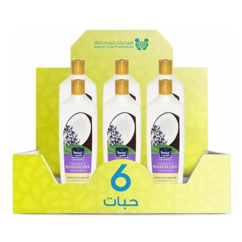 Parachute Coconut & Rosemary Shampoo 340ml *6 Bottles | Value Box