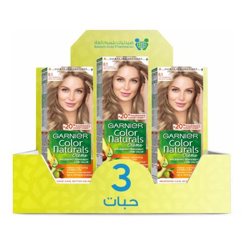 Garnier Hair Color 8.1 Light Ash Blonde *3 Pack | Value Box