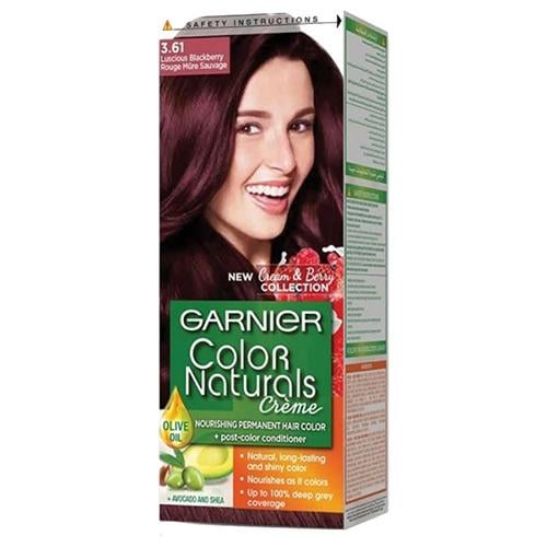 GARNIER HAIR DYE COLOR BLACKBERRY 3.61