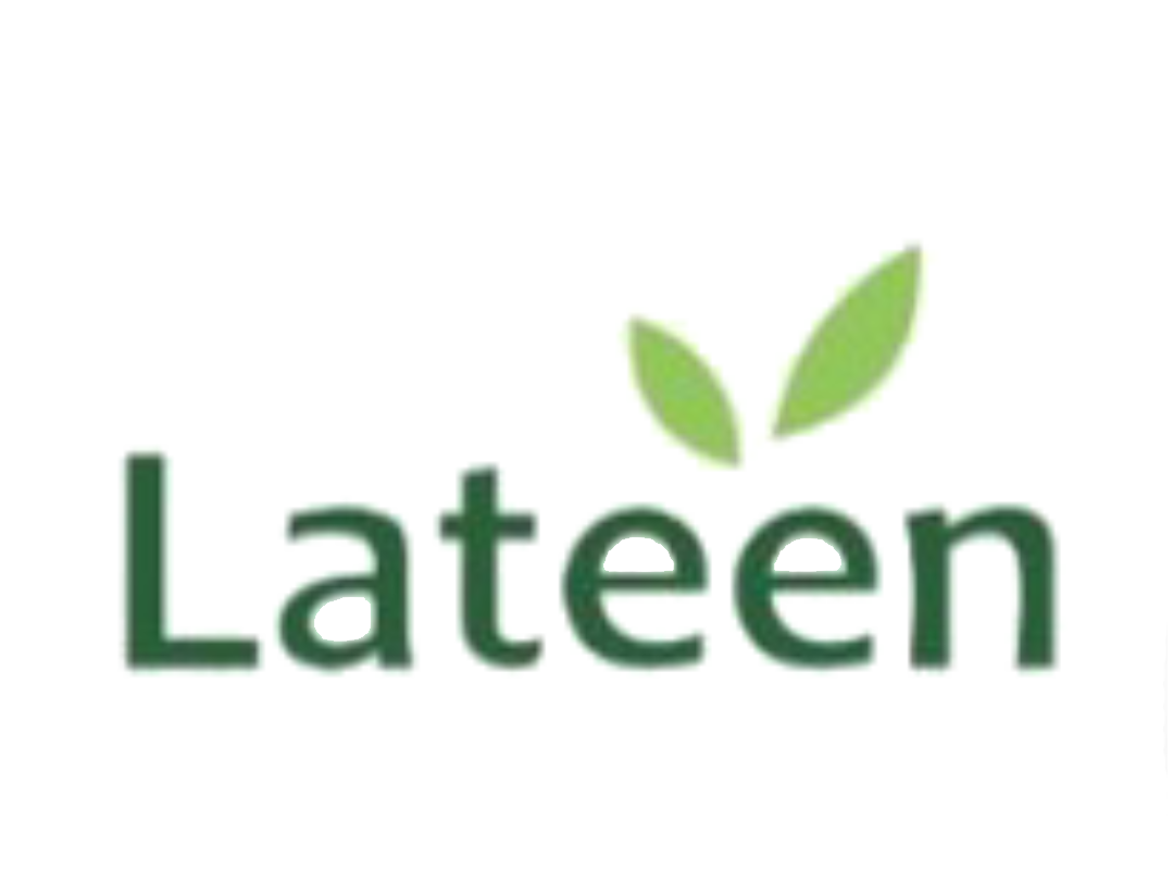 لاتين | Lateen