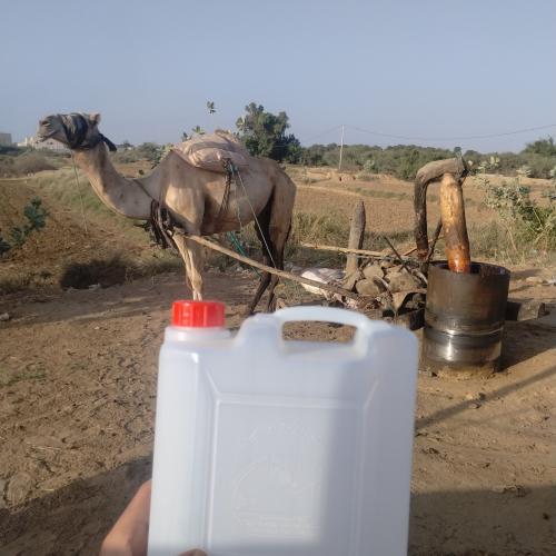 لتر زيت سمسم معصره جمل ..جازان
