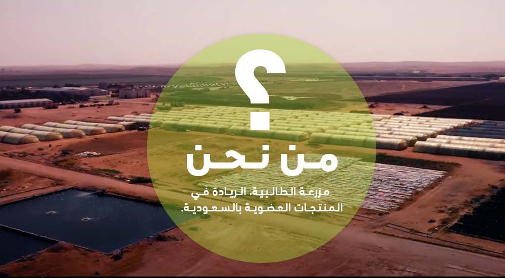 About Us - Talabiya Farm, the pioneer in organic products in Saudi Arabia.