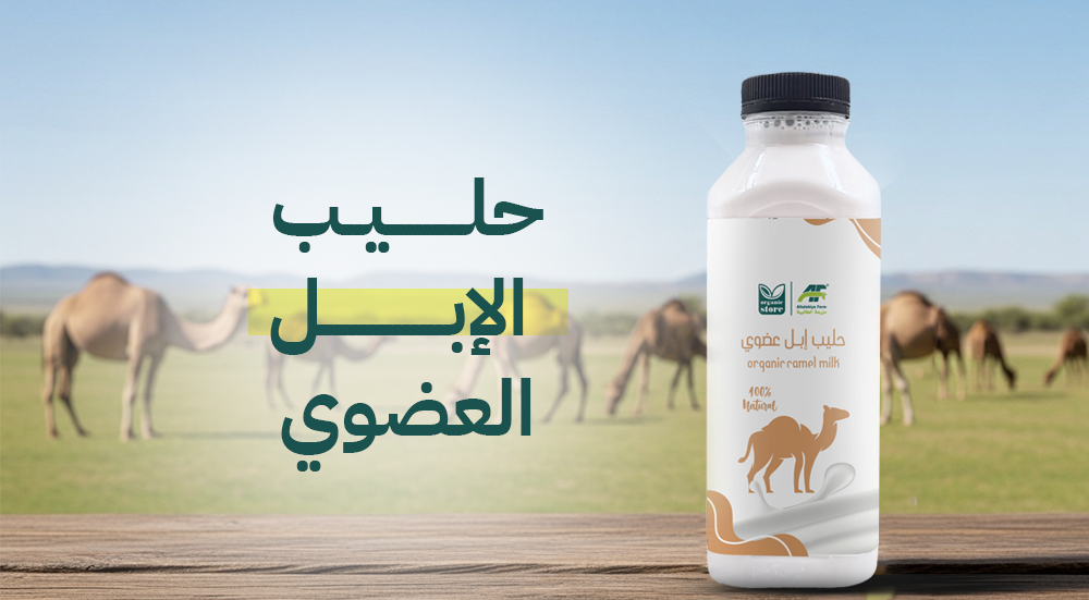 Organic unpasteurized camel milk, what are the benefits?