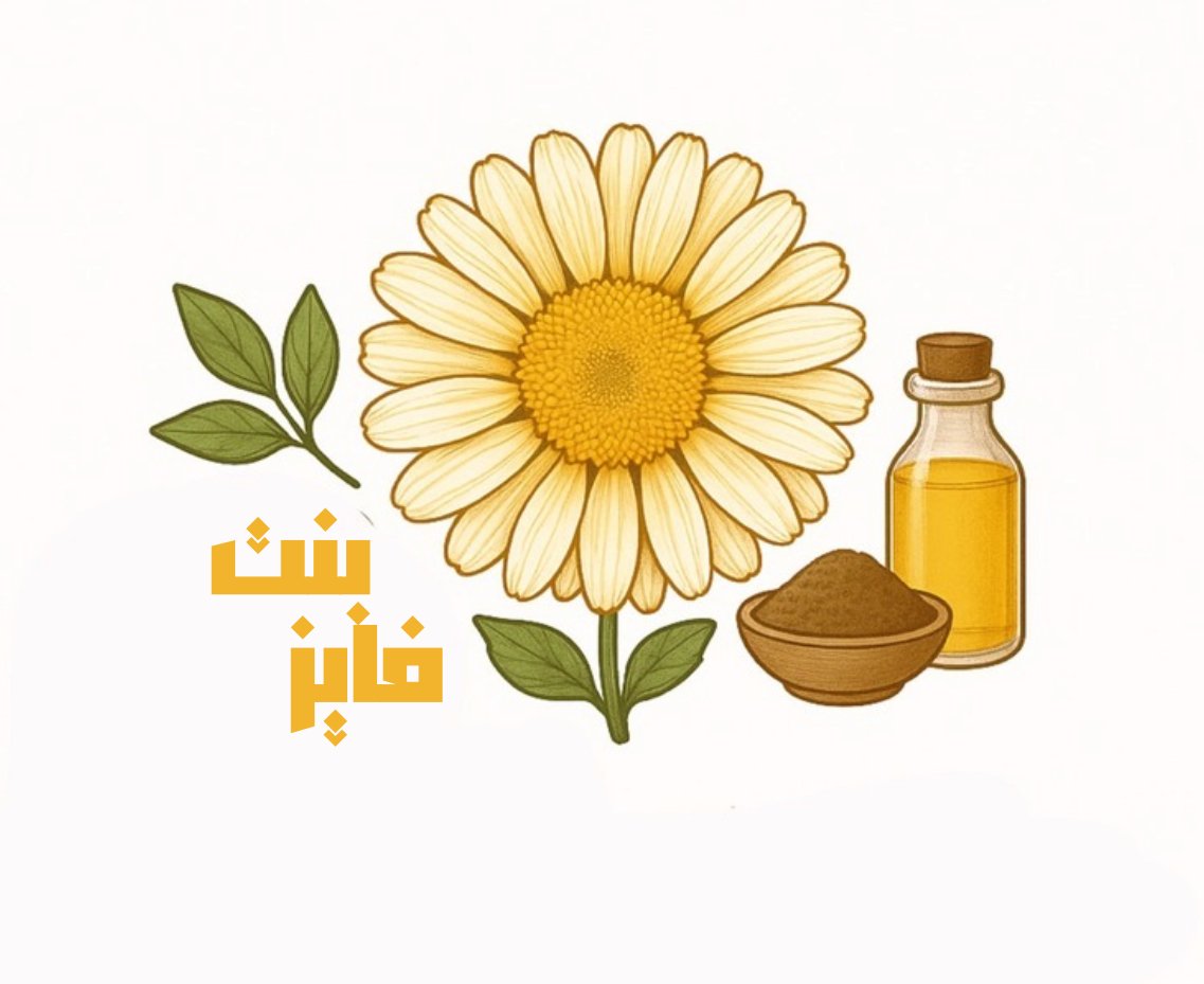 store avatar