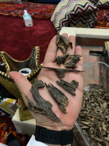 بيزا موري جامبو دبل 26 قرام [ منيبور ]