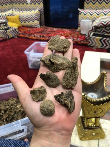 ماليزي ترنقانو قواقع تربل + دبل تجميع خاص