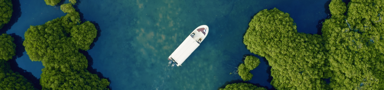 فيصل اليامي