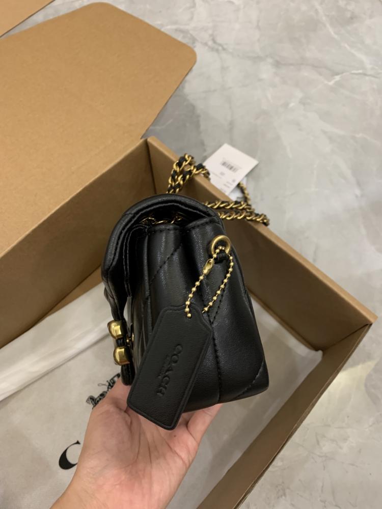 Coach tabby 20cm