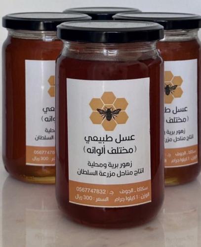 عسل طبيعي ( مختلف ألوانه ) من مزرعة السلطان