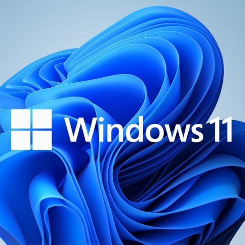 ويندوز 11 برو - Windoes 11 pro