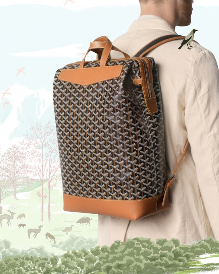 Goyard cisalpin backpack, Women's Fashion, Bags & Wallets, Backpacks on  Carousell