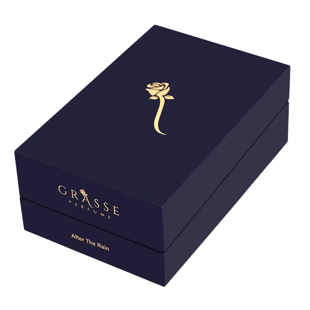 افتر ذا راين